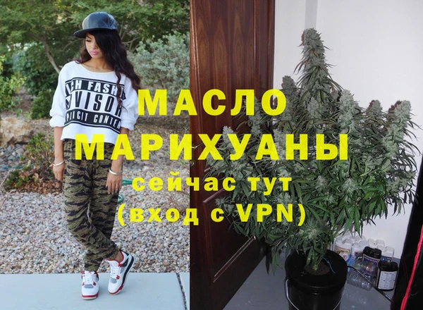 мет Дмитров